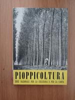 Pioppocoltura