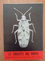 La cimicetta del pioppo