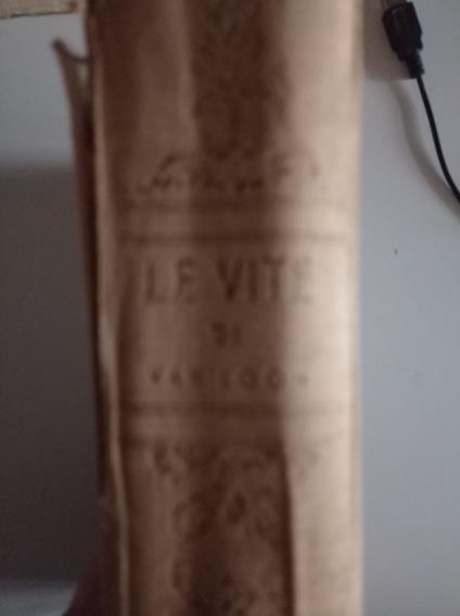 Le vite - copertina