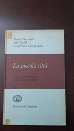 La piccola città. Dati e biografie di una comunità dell'Italia meridionale