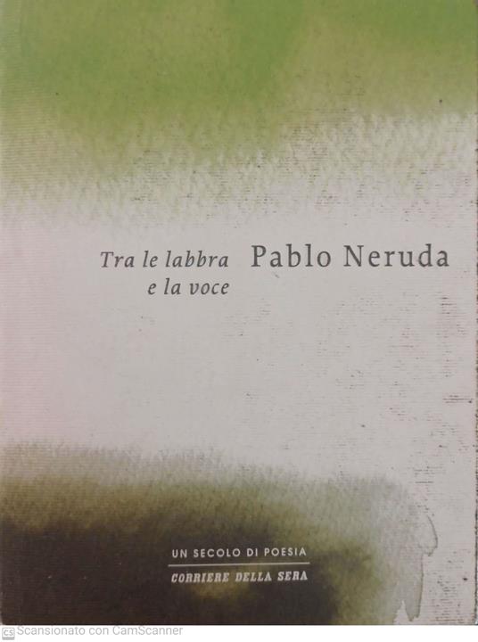 Tra le labbra e la voce - Paolo Deruda - copertina