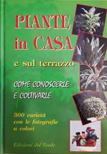 Piante in casa e sul terrazzo. Come conoscerle e coltivarle