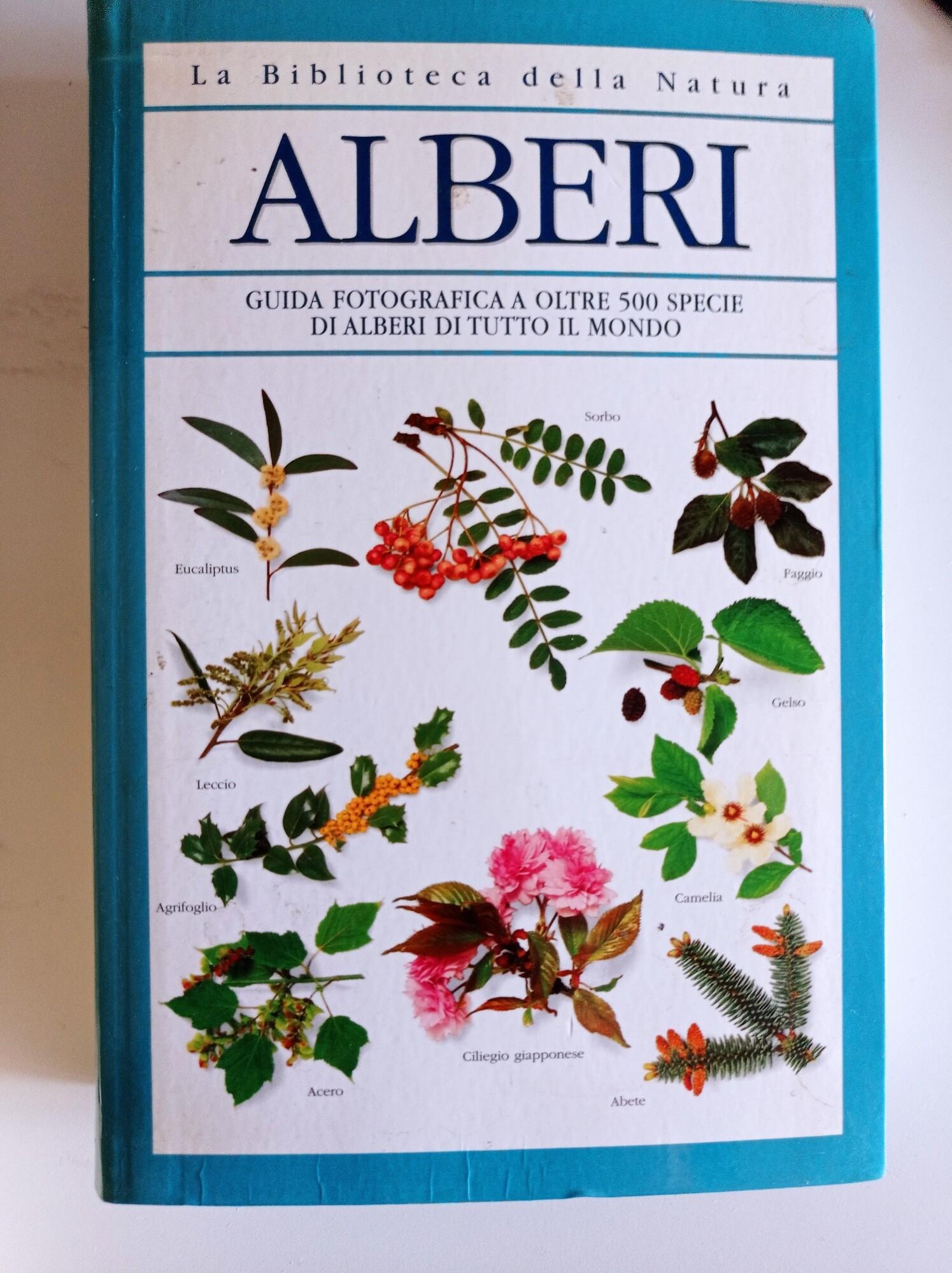 Alberi