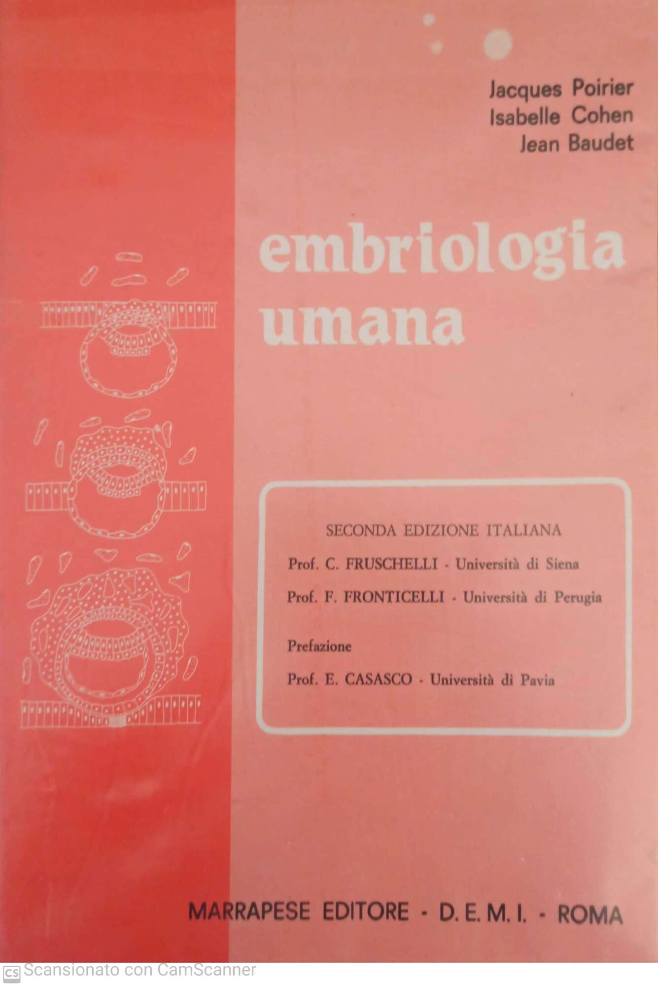 Librisaggi