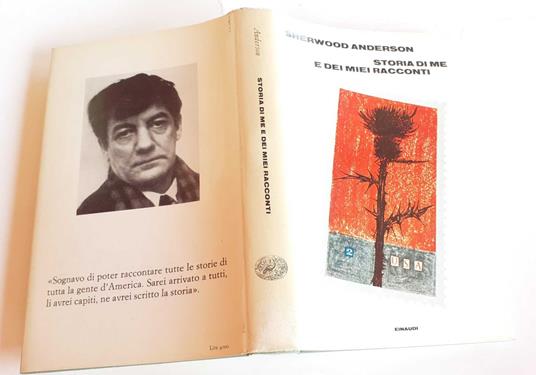 Storia di me e dei miei racconti - Anderson Sherwood - copertina