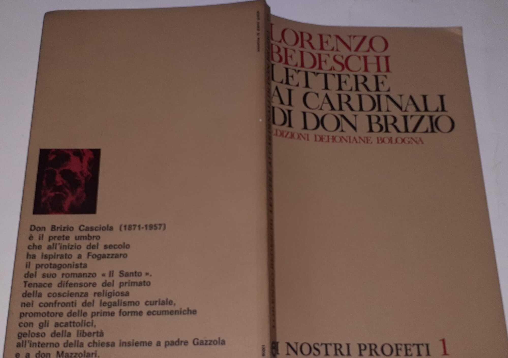 Lettere ai cardinali di Don Brizio