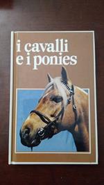 I cavalli e i ponies
