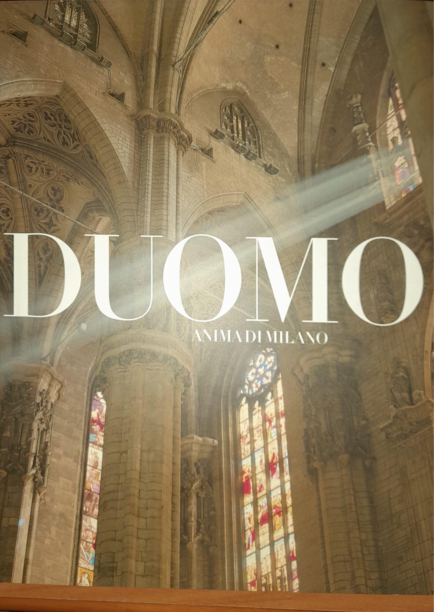 Duomo anima di Milano