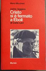 Come leggere Cristo si è fermato a Eboli di Carlo Levi