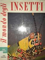 Il mondo degli insetti