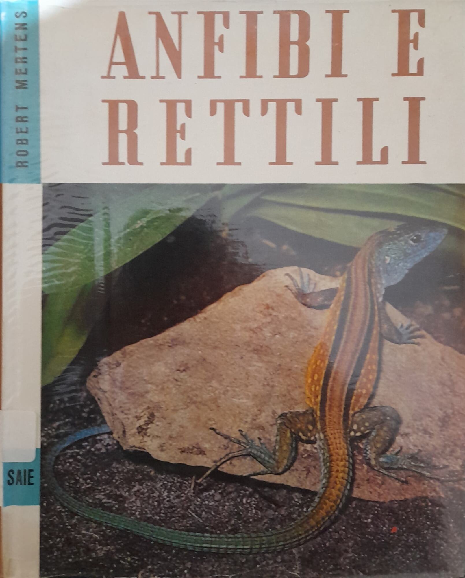 Libreria del Professore