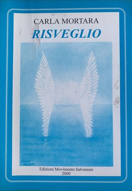 Risveglio - copertina