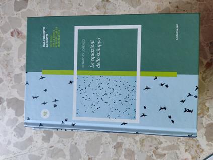 Le equazioni dello sviluppo N.12 - Renato Di Lorenzo - copertina