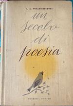 Un secolo di poesia