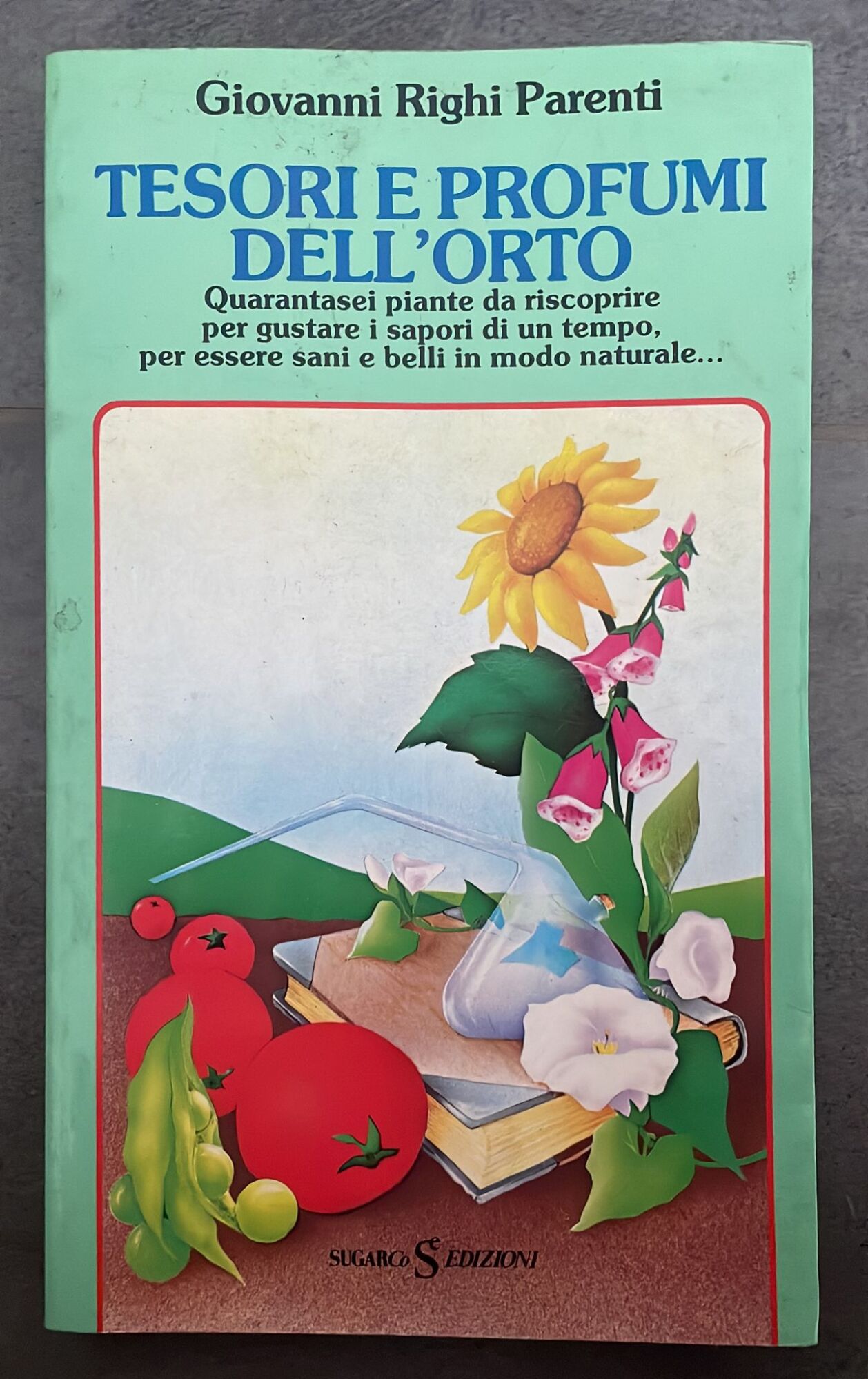 Libreria del Professore