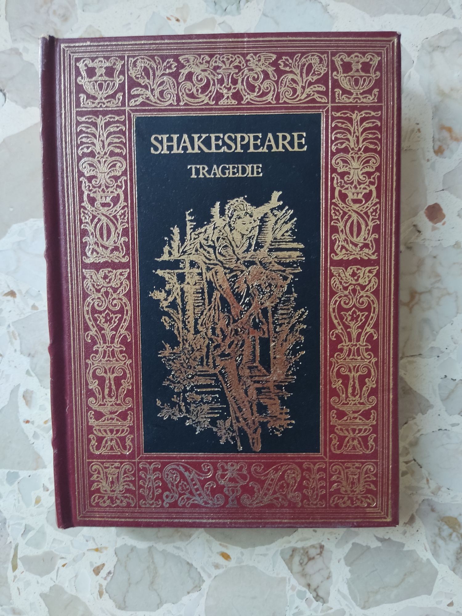 Libreria del Professore