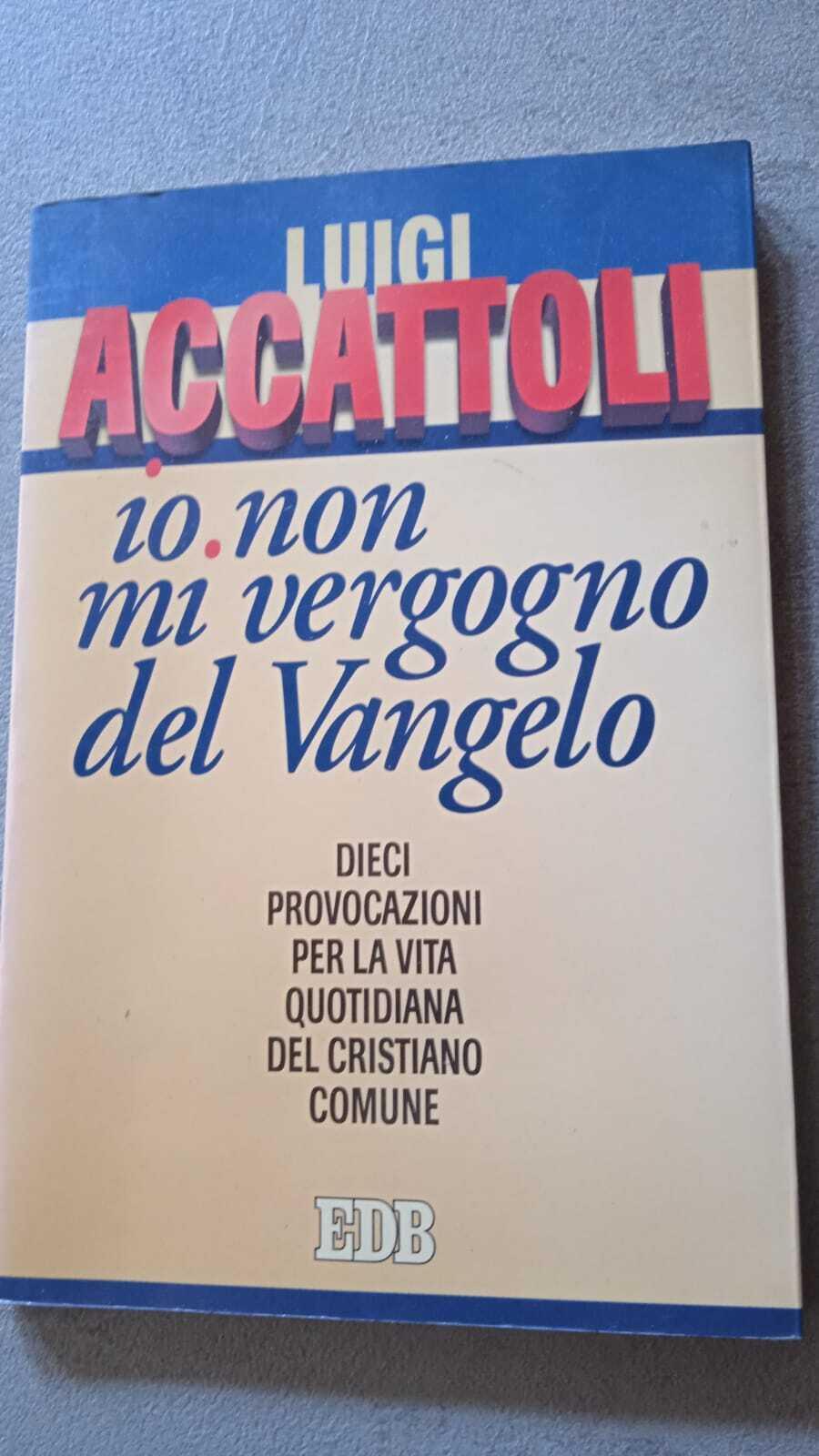 Io non mi vergogno del Vangelo Dieci provocazioni per la vita quotidiana del cristiano comune