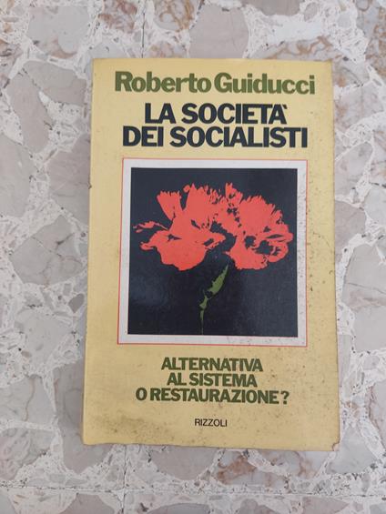 La società dei socialisti - Roberto Guiducci - copertina