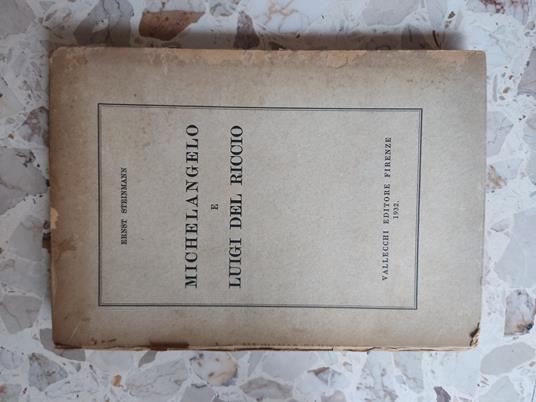 Michelangelo e Luigi Del Riccio - Ernst Steinmann - copertina