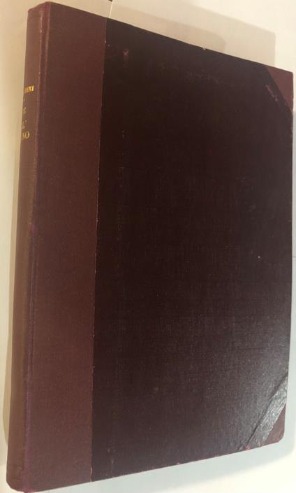 Il Re dell'Oceano - Antonio G. Quattrini - copertina