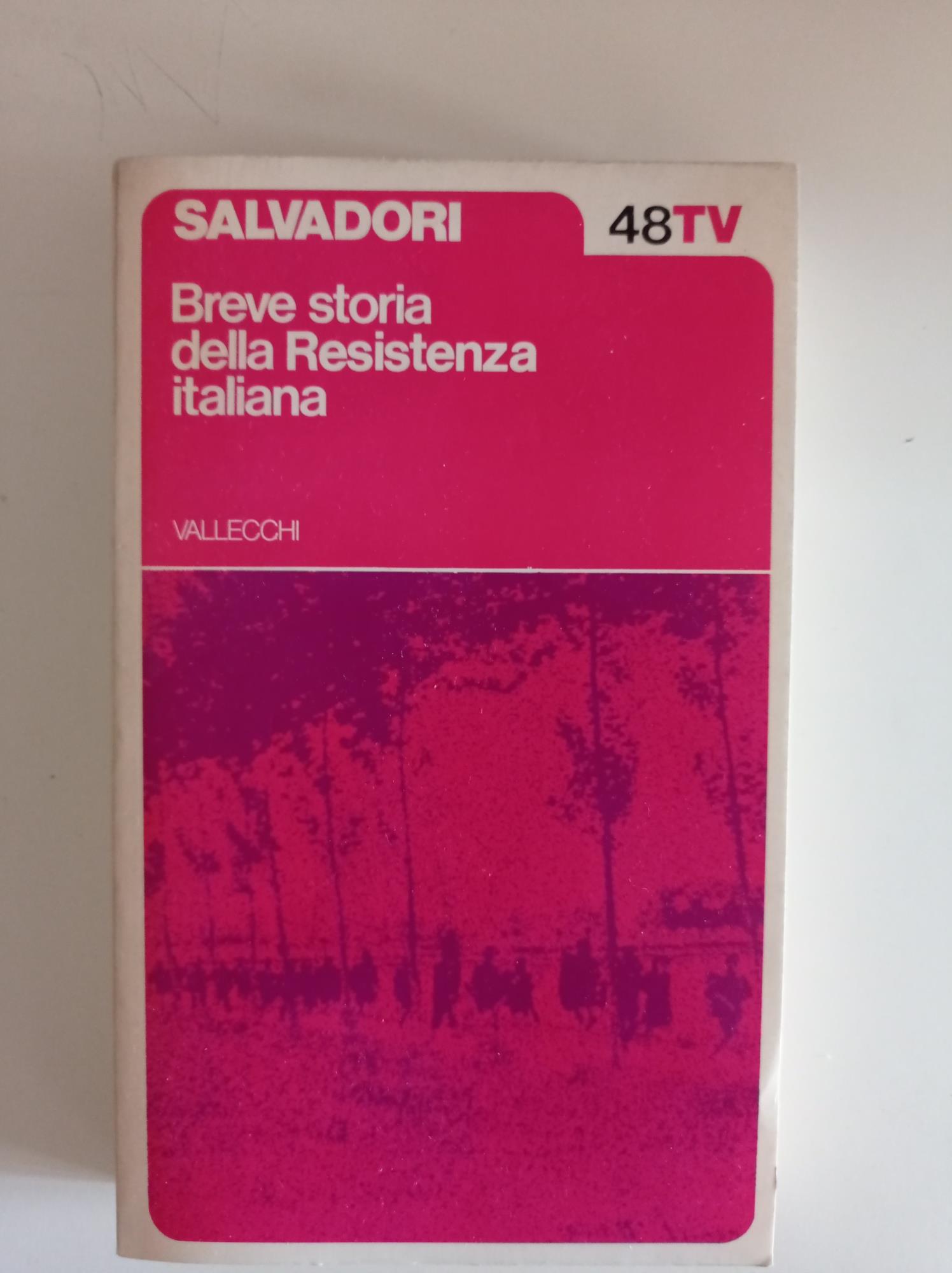 Breve storia della Resistenza italiana