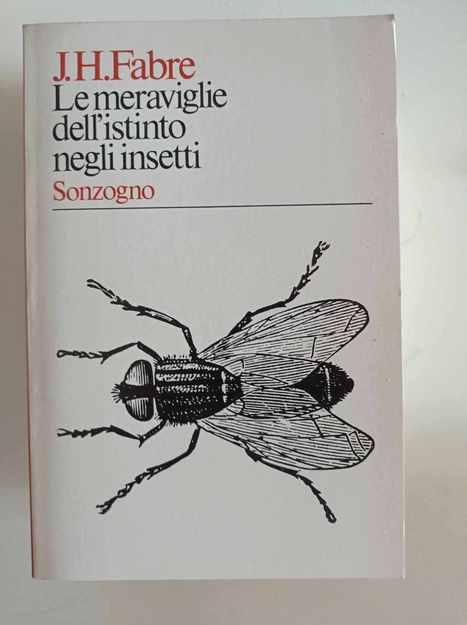 Le meraviglie dell'istinto negli insetti