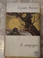 Il compagno