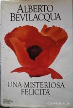 Una misteriosa felicità