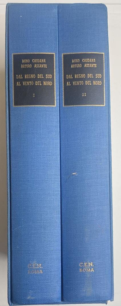 Dal regno del sud al vento del nord - copertina