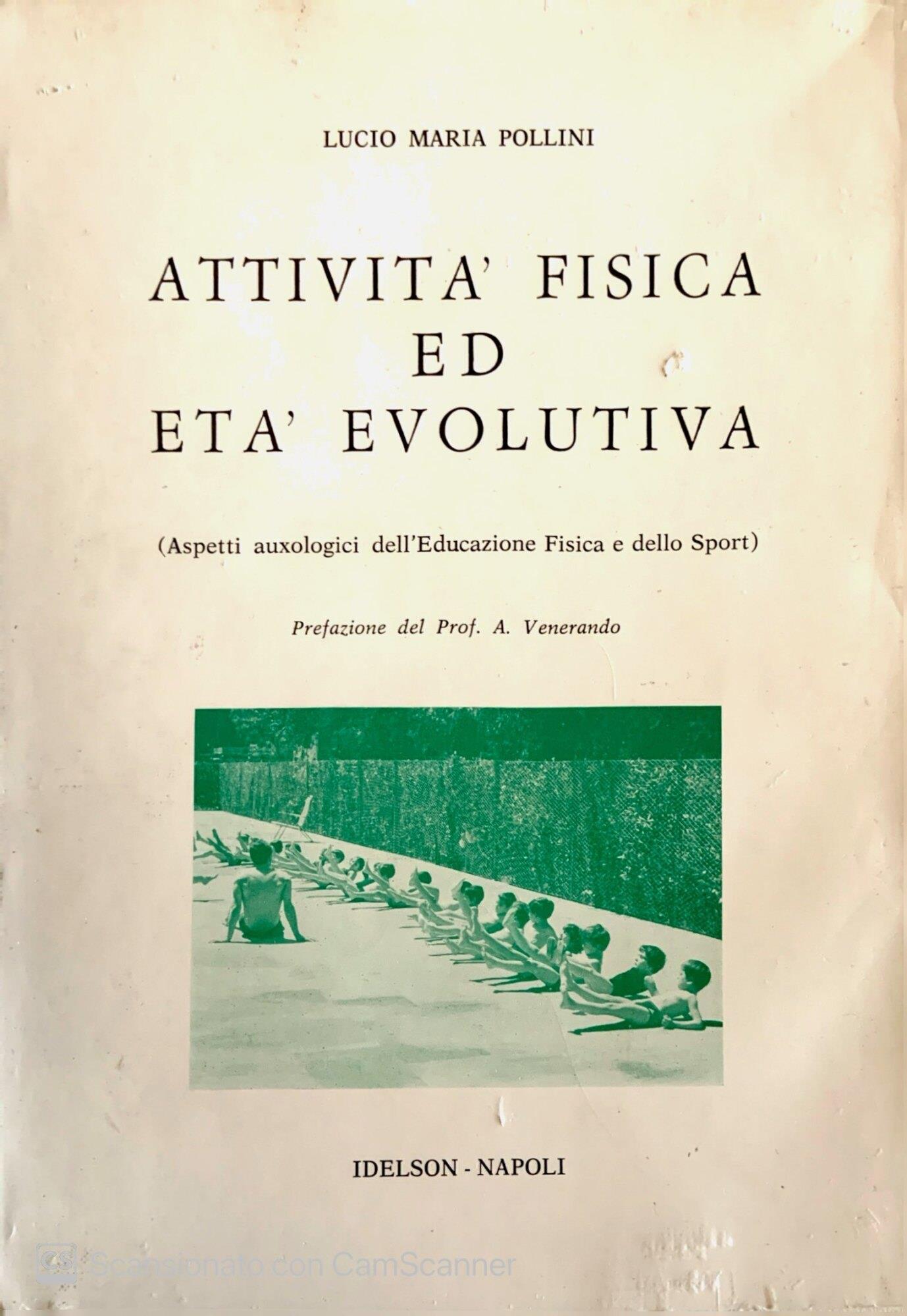 Librisaggi