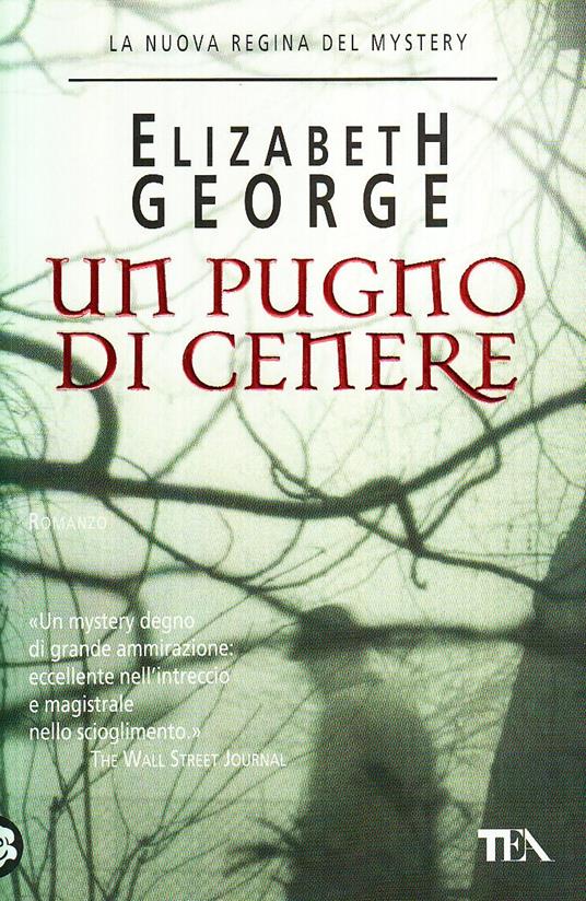 Un pugno di cenere - copertina