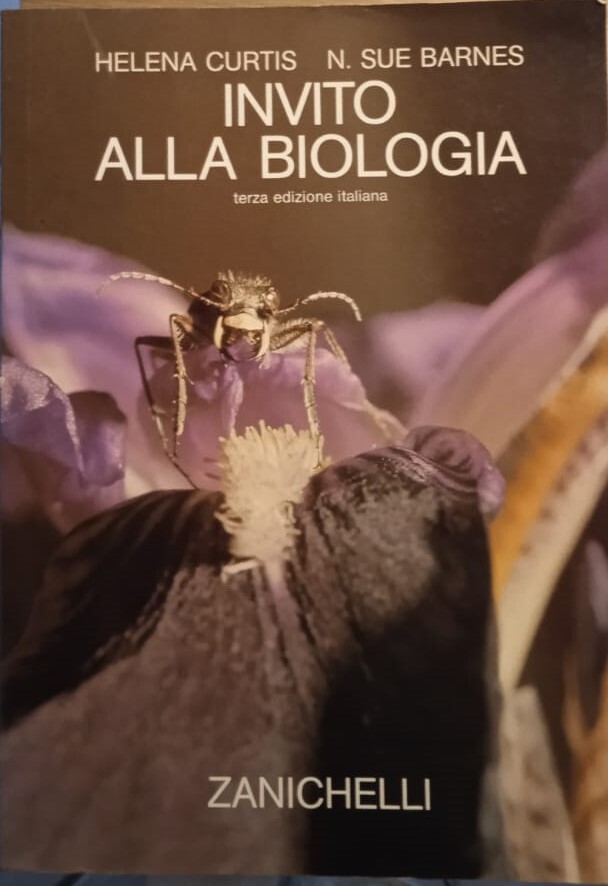 Librisaggi