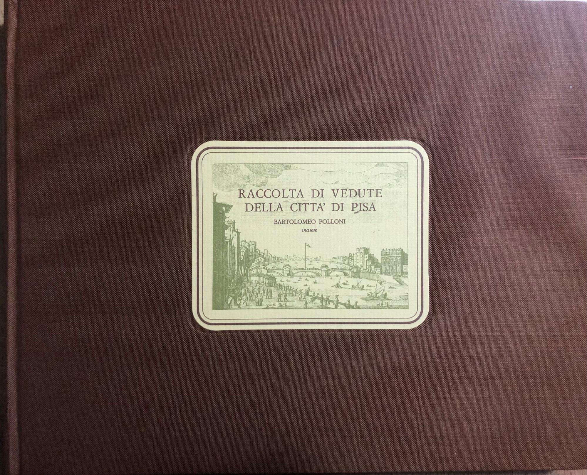 Raccolta di vedute della città di Pisa