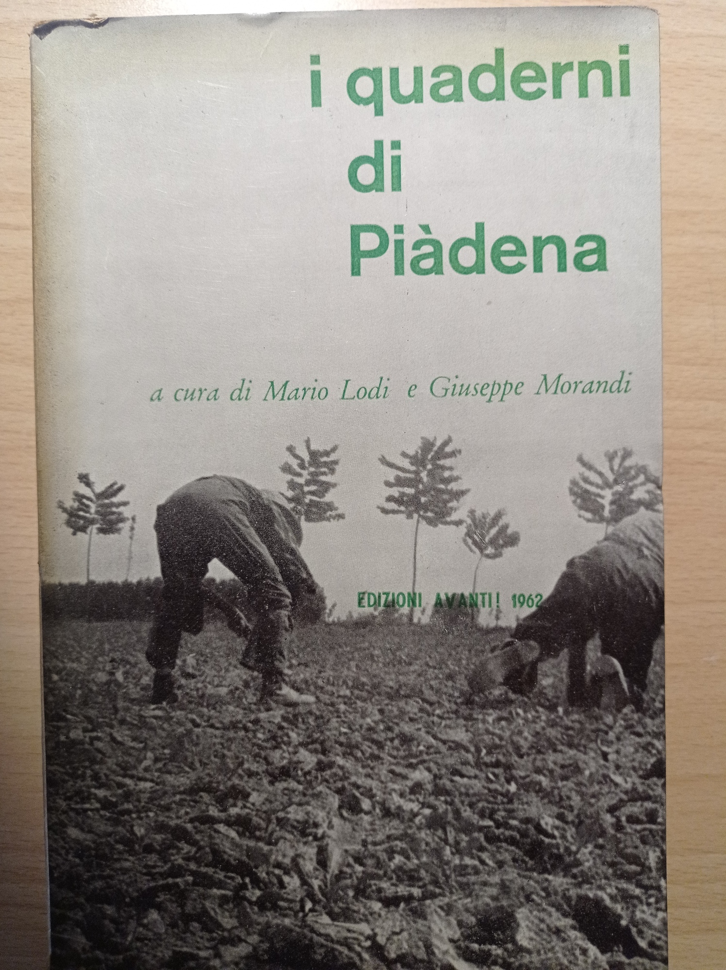 Libreria del Professore