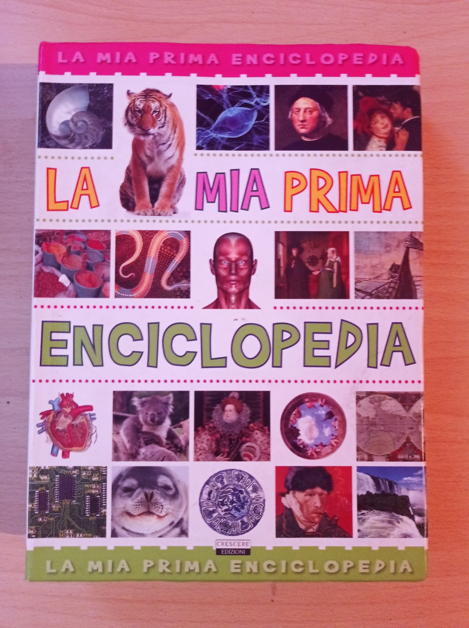 Librisaggi