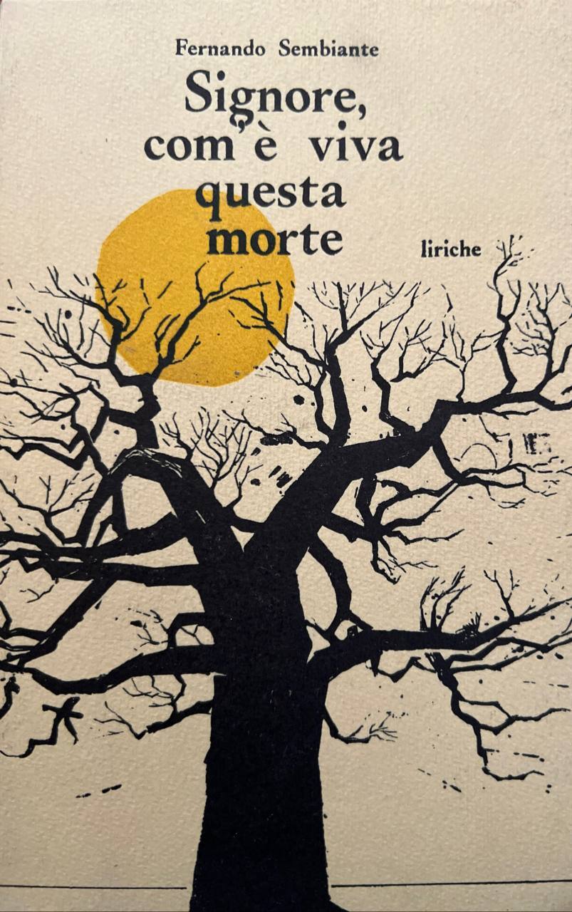 Libreria del Professore