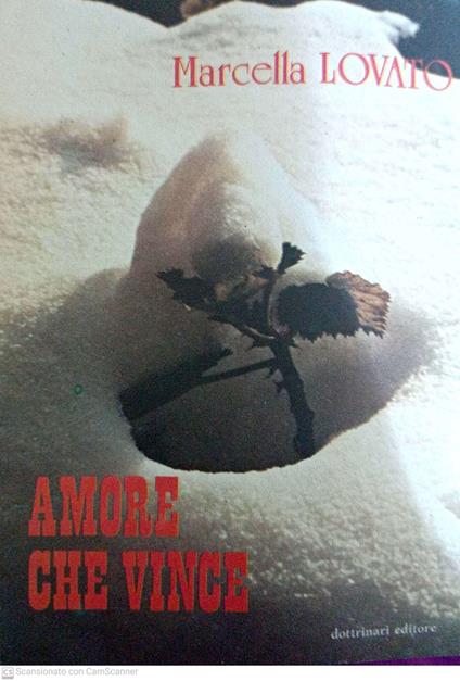 Amore che vince - copertina