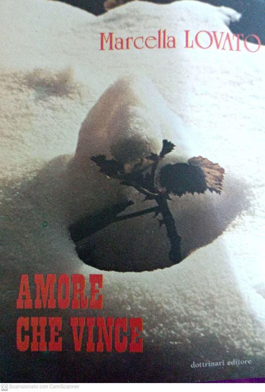 Amore che vince - copertina