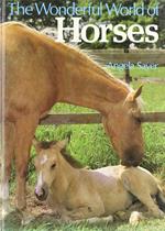 Wonderful World of Horses