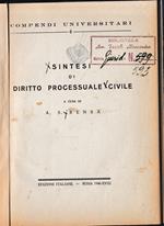 Sintesi di diritto processuale civile