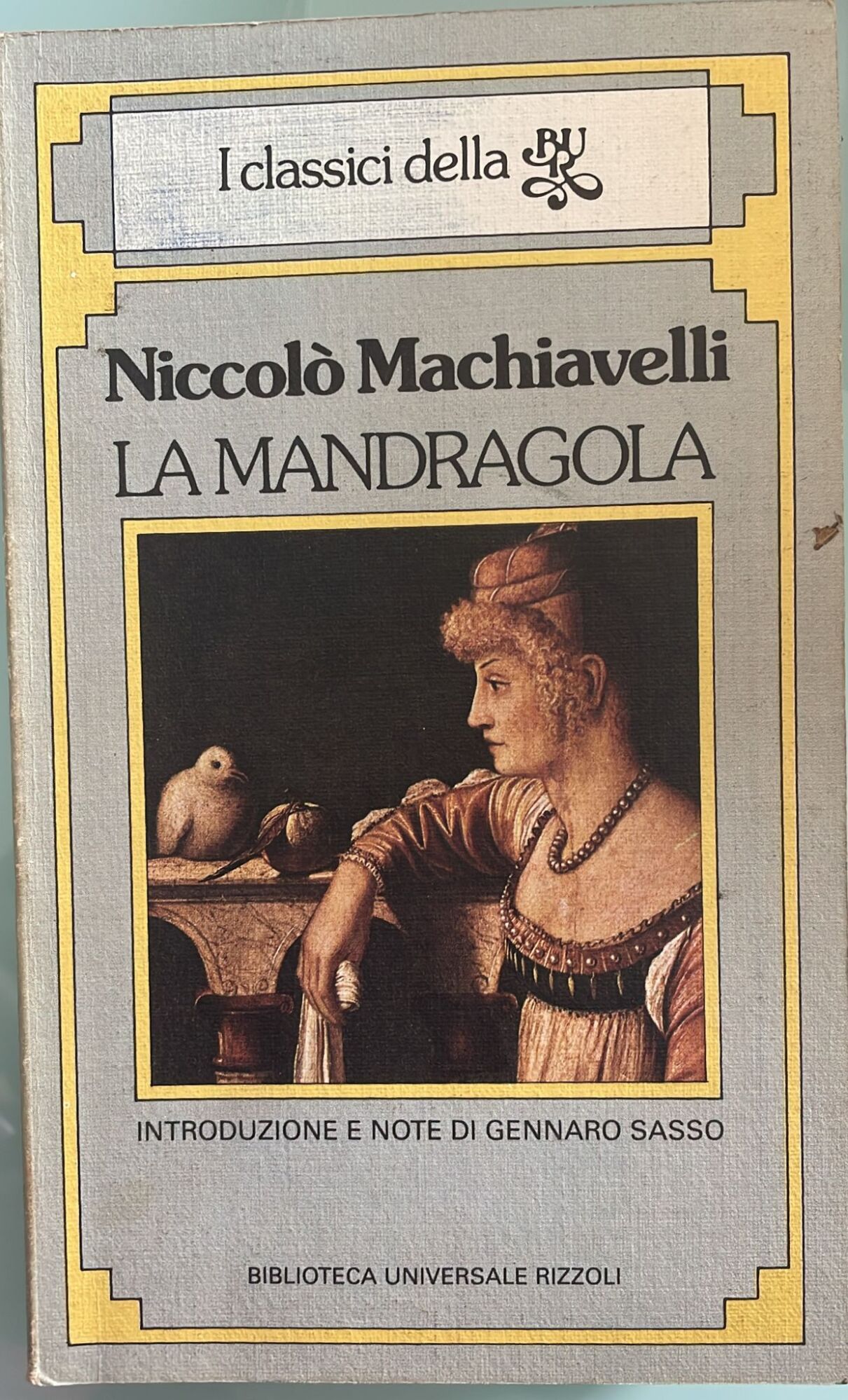 Libreria del Professore