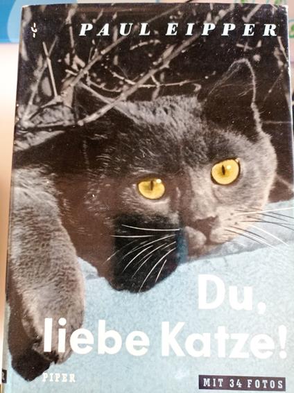 Du, liebe Katze! - Paul Eipper - copertina
