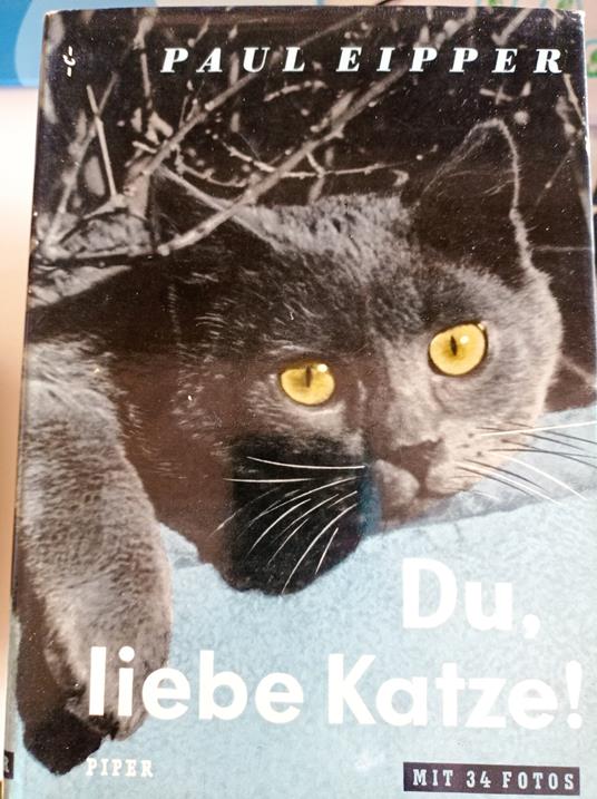 Du, liebe Katze! - Paul Eipper - copertina