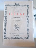 Iliade libro Sesto