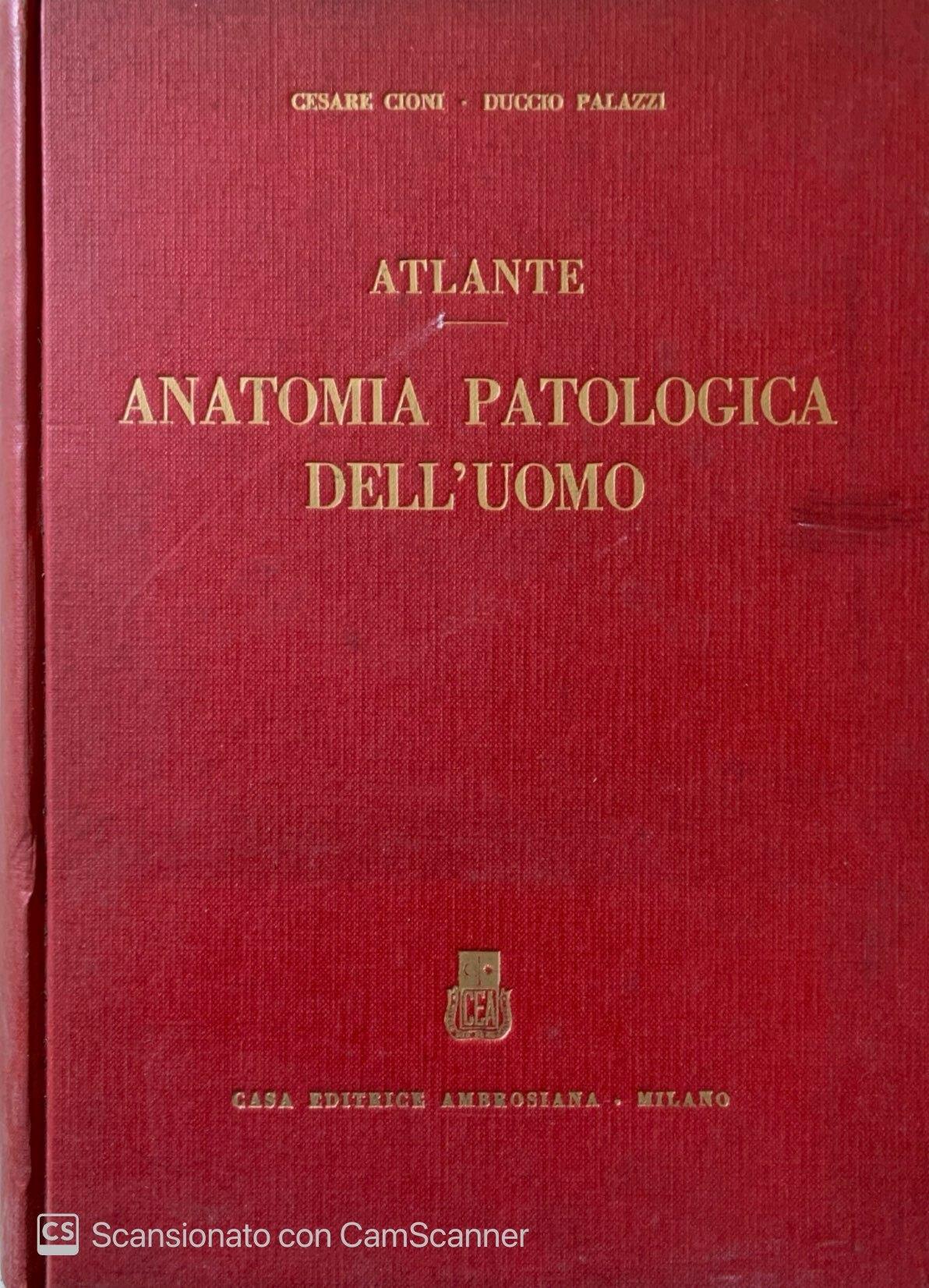Atlante Anatomia patologica dell' uomo
