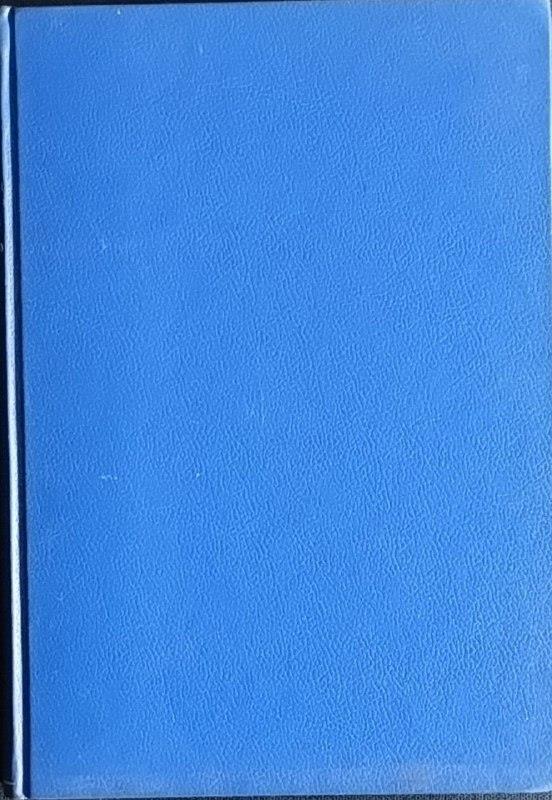 Lezioni di diritto canonico sui principi conciliari