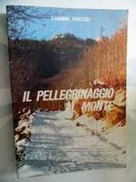 Il Pellegrinaggio Al Monte