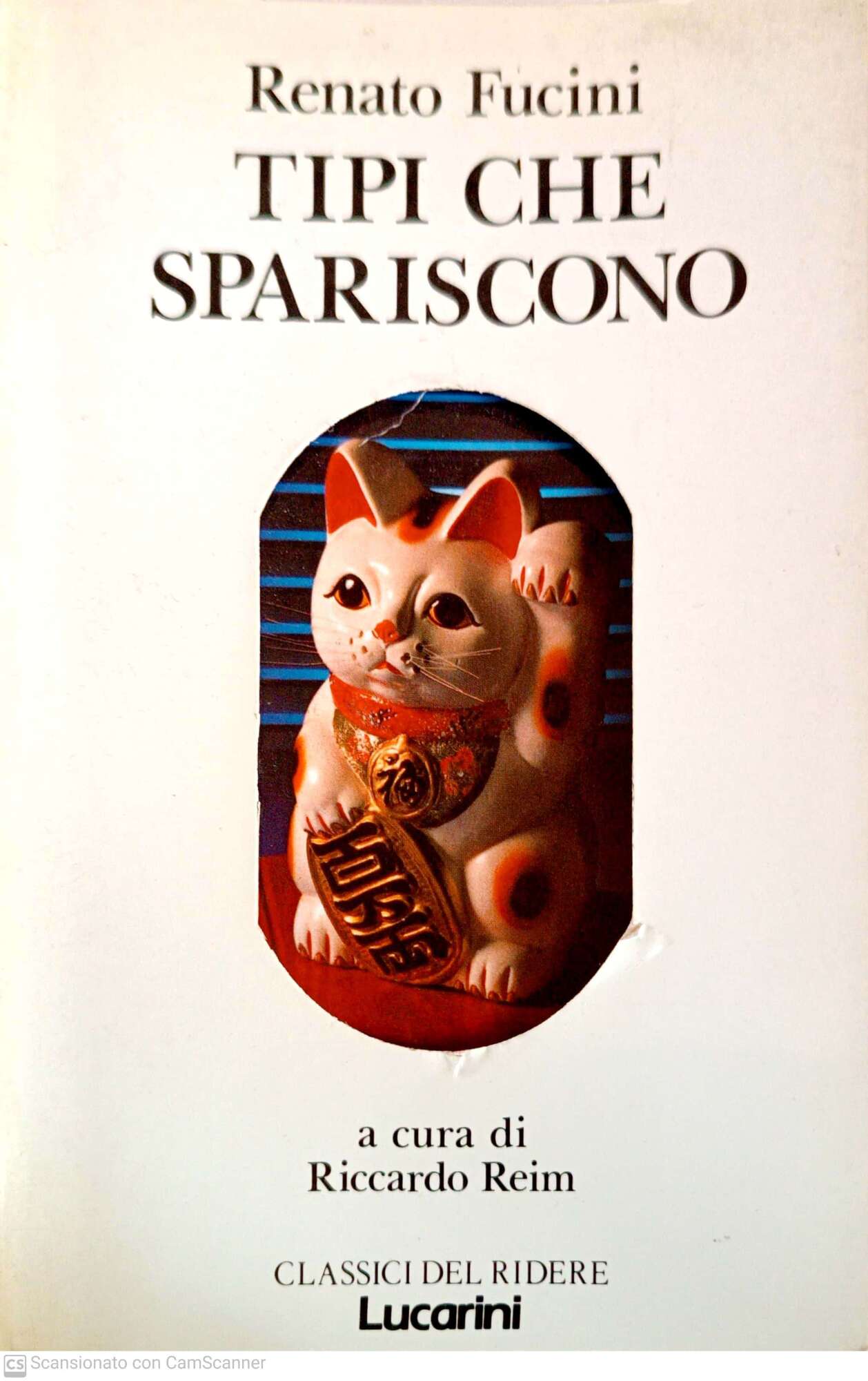 Libreria del Professore