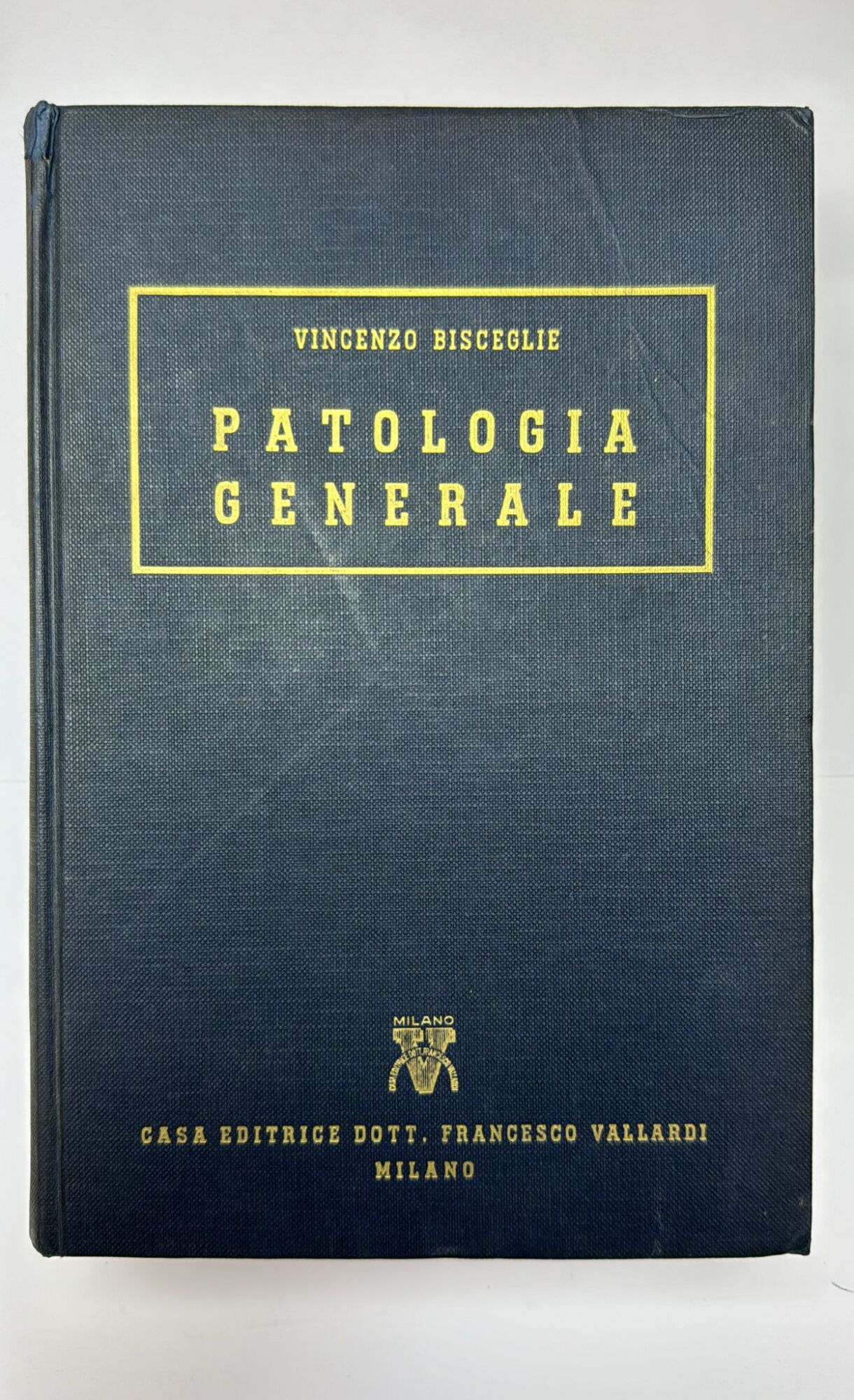 Librisaggi