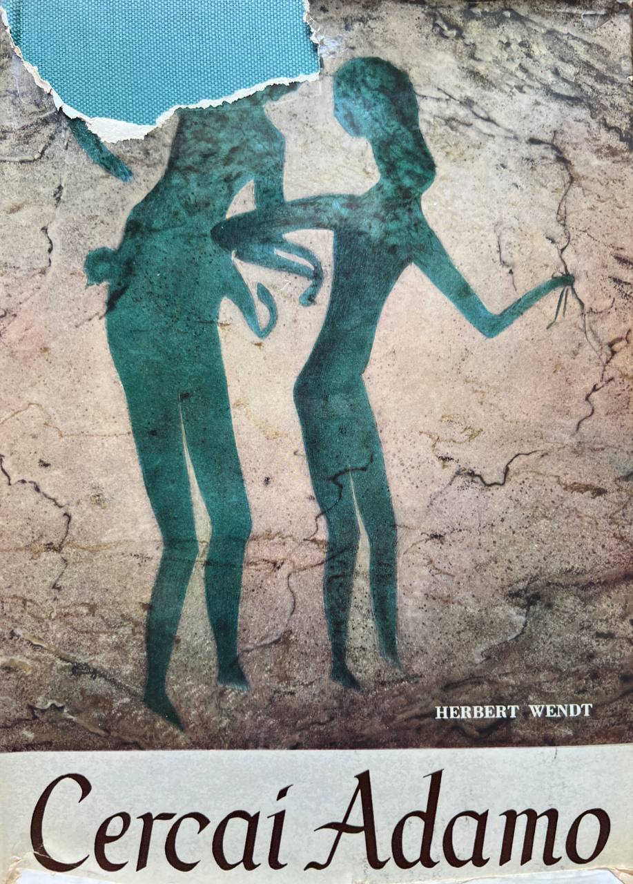 Libreria del Professore